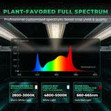 Mars-Hydro Grow Light FC E4800 - 4'x4'