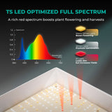 Mars-Hydro Grow Light TS1000