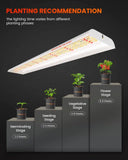 Spider Farmer® SF600 Led Grow Light